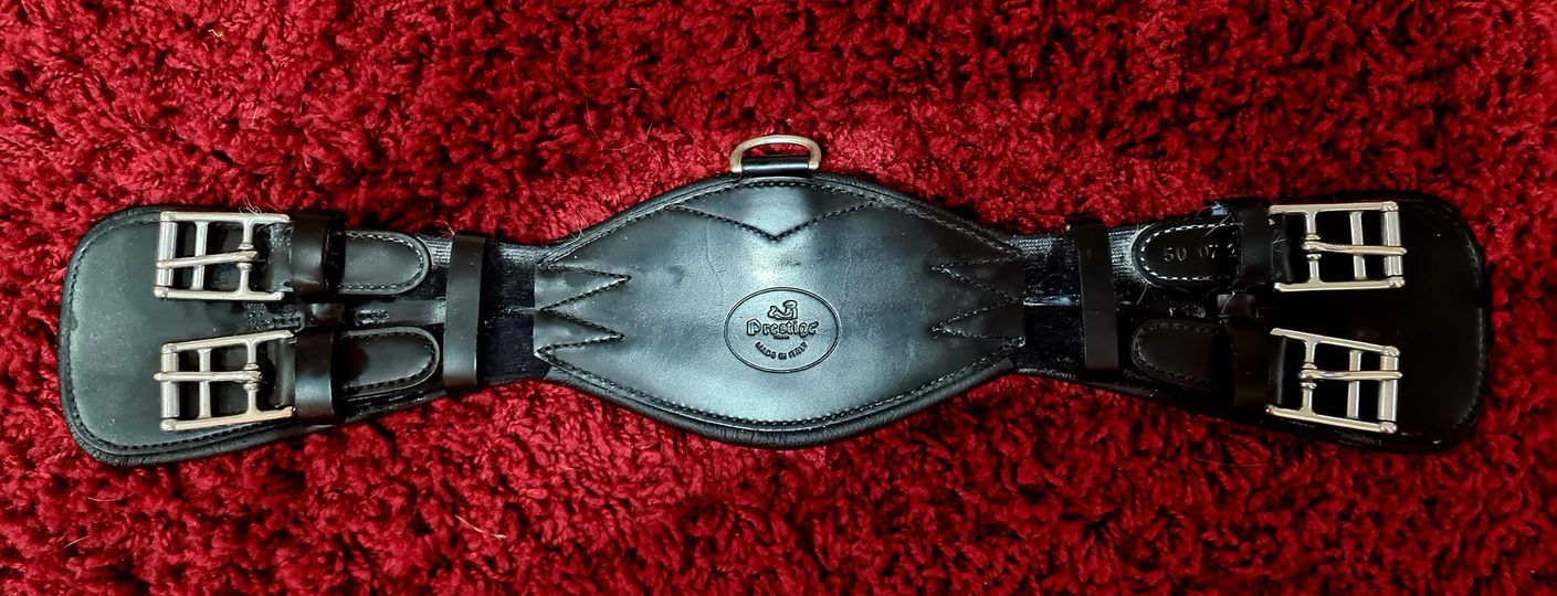 Anatomic Horse Girth Fur Babies Central